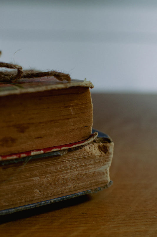 The Allure of Vintage Books Collecting and Displaying