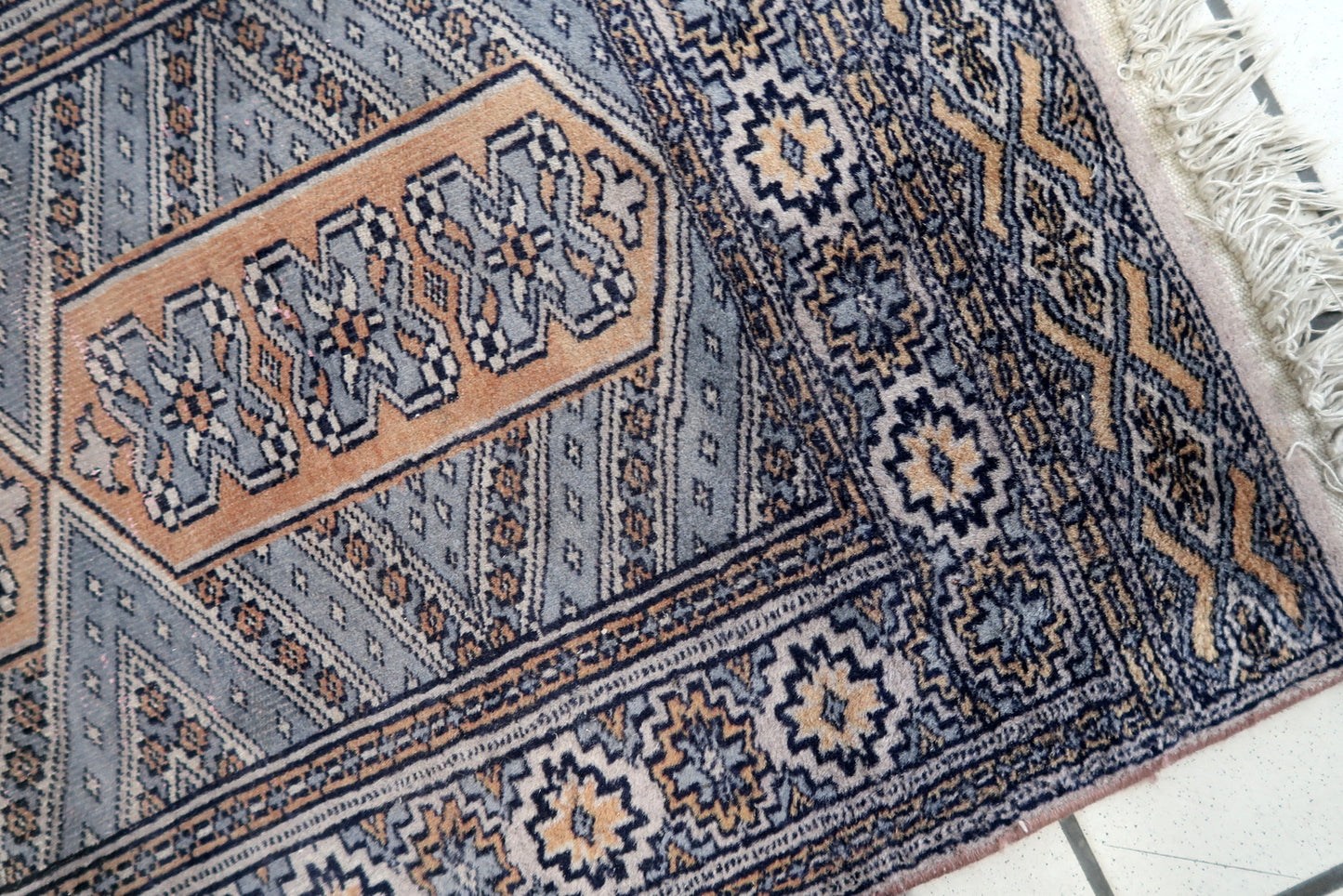 Close-up of symmetrical guls in ivory and black