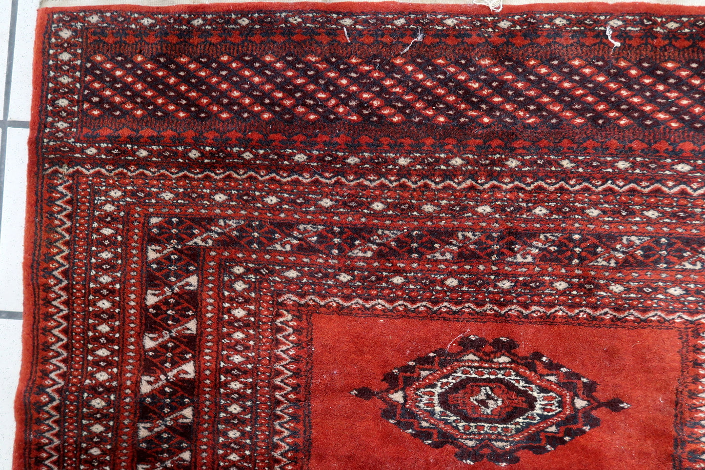 Bukhara carpet with contrasting black border