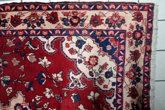 Terracotta red floral medallion surrounded by intricate vine scrolls and floral motifs on a hand-knotted Malayer carpet.