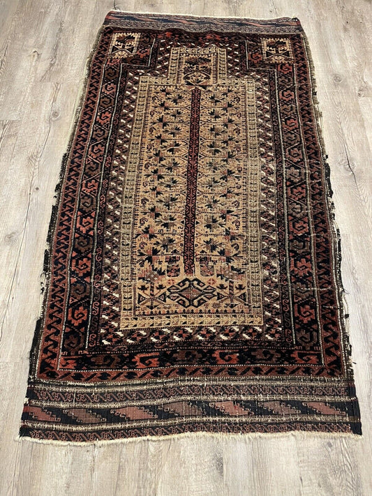 A wide shot of the entire handmade antique Afghan Baluch rug (1880s), showcasing its dimensions (78 cm x 141 cm / 2.5 ft x 4.6 ft) and the overall arrangement of the geometric and prayer niche design.