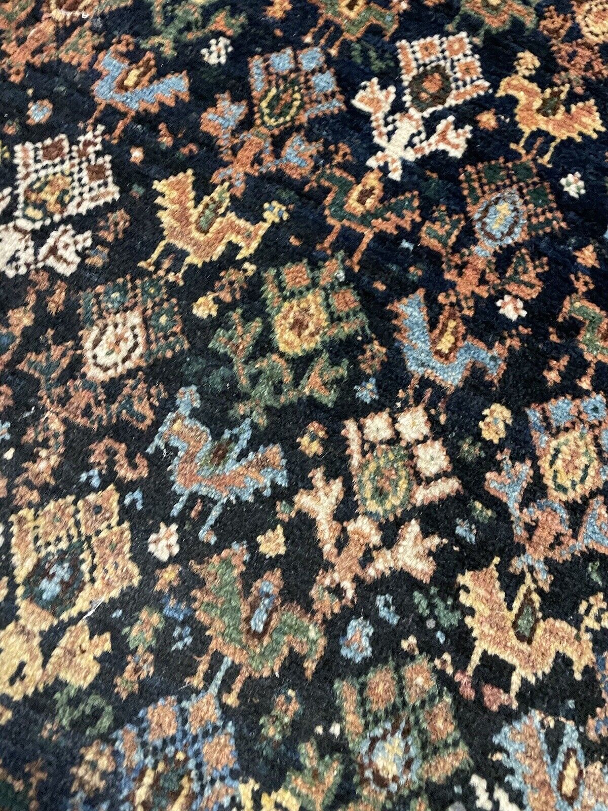 Detailed border design of a 1900s Afshar rug