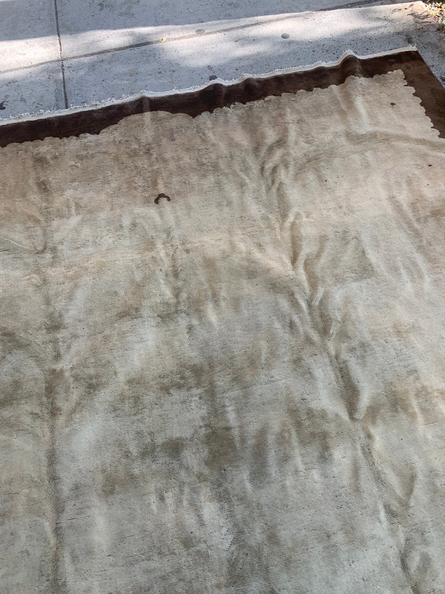 Early 1900s Peking wool rug in neutral colors.