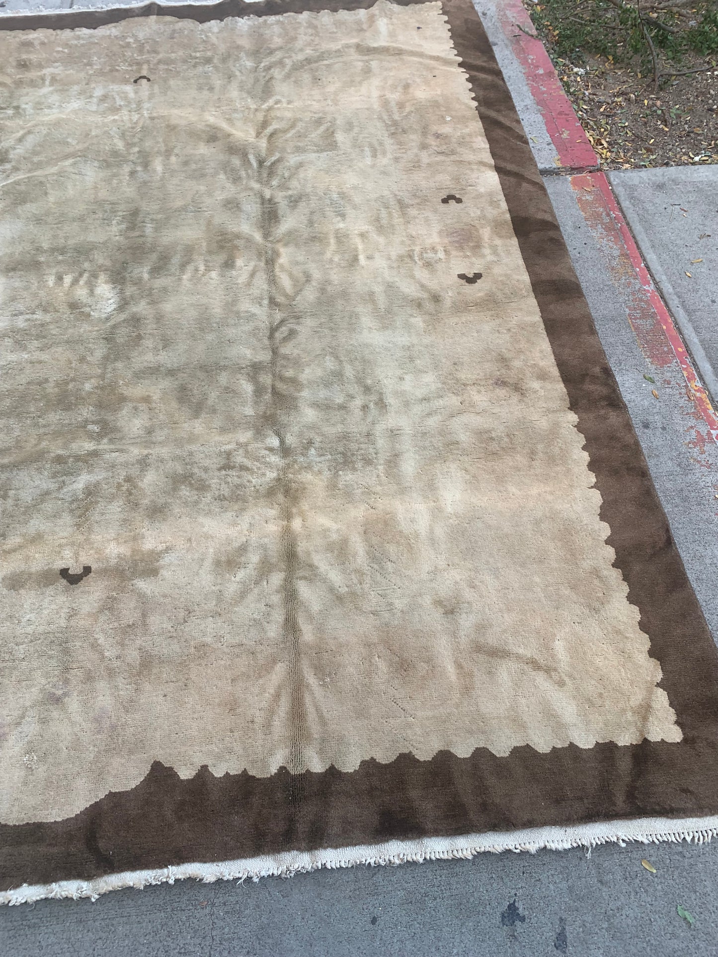 Antique Chinese rug with understated sophistication.