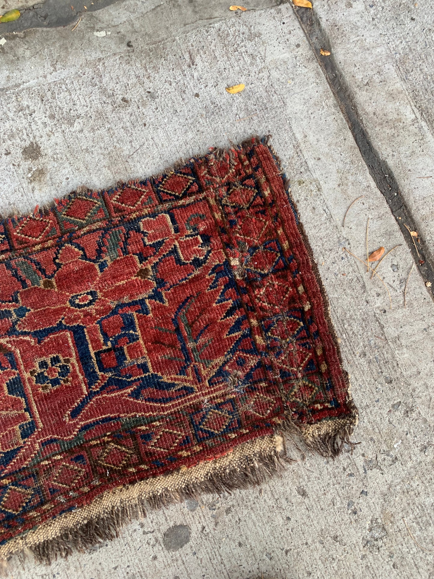 Close-up of intricate floral and geometric patterns on an Ersari rug.