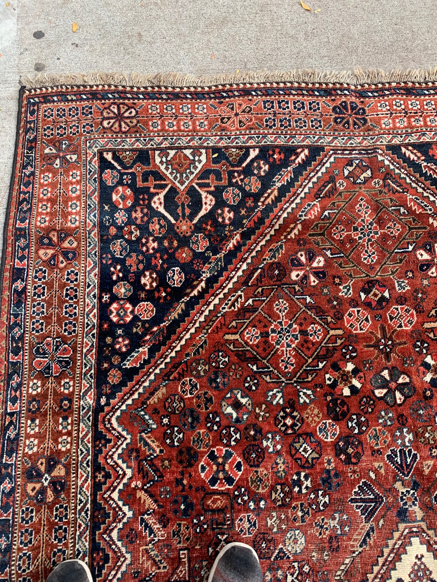 Persian rug with navy spandrels and detailed borders.