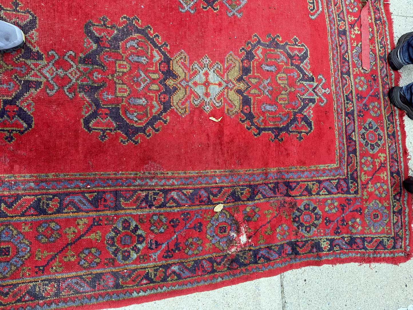 Full view of the 8.11' x 11.7' Oushak rug