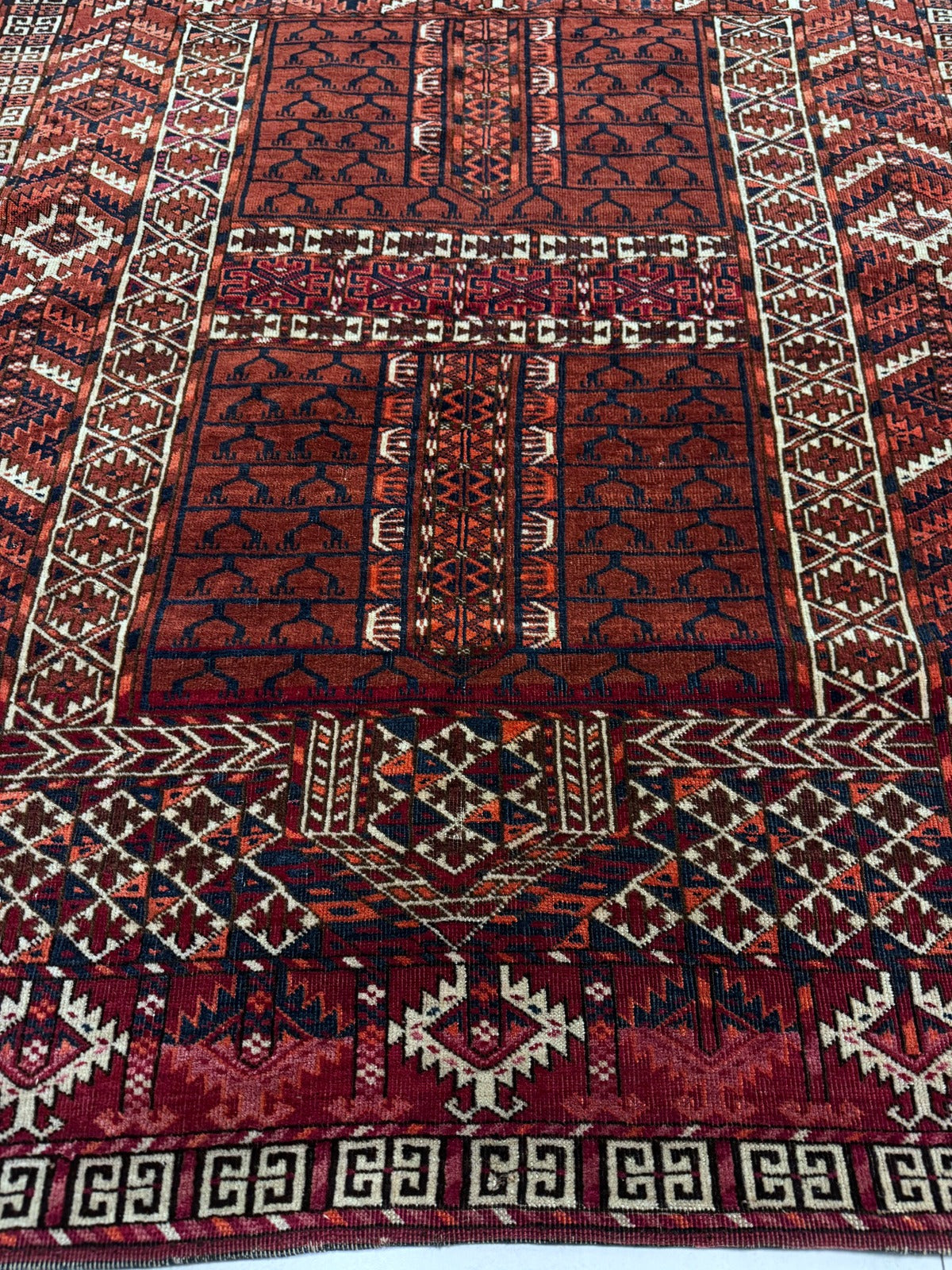 View of one of the multiple intricate borders surrounding the central field.