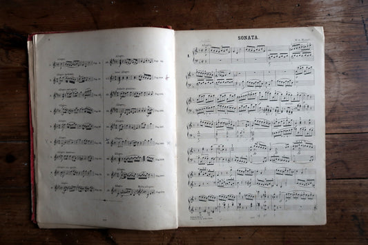 Chinese Art Deco rug full view, oval vintage wool carpet with soft color palette