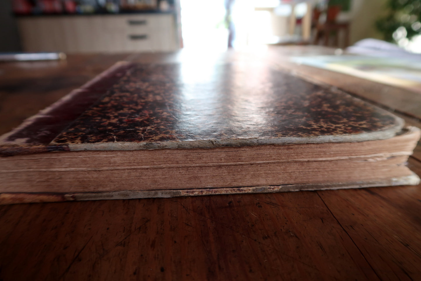 Antique music book back cover, showing binding and aged patina