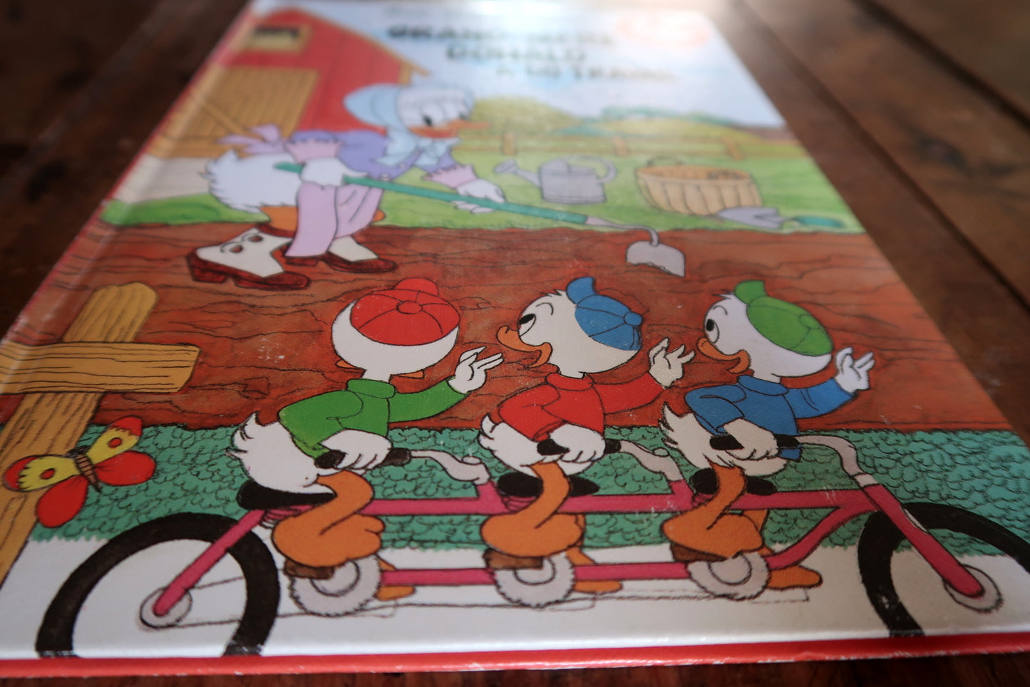 Grand-Mère Donald book corner detail, showing light wear and vintage condition