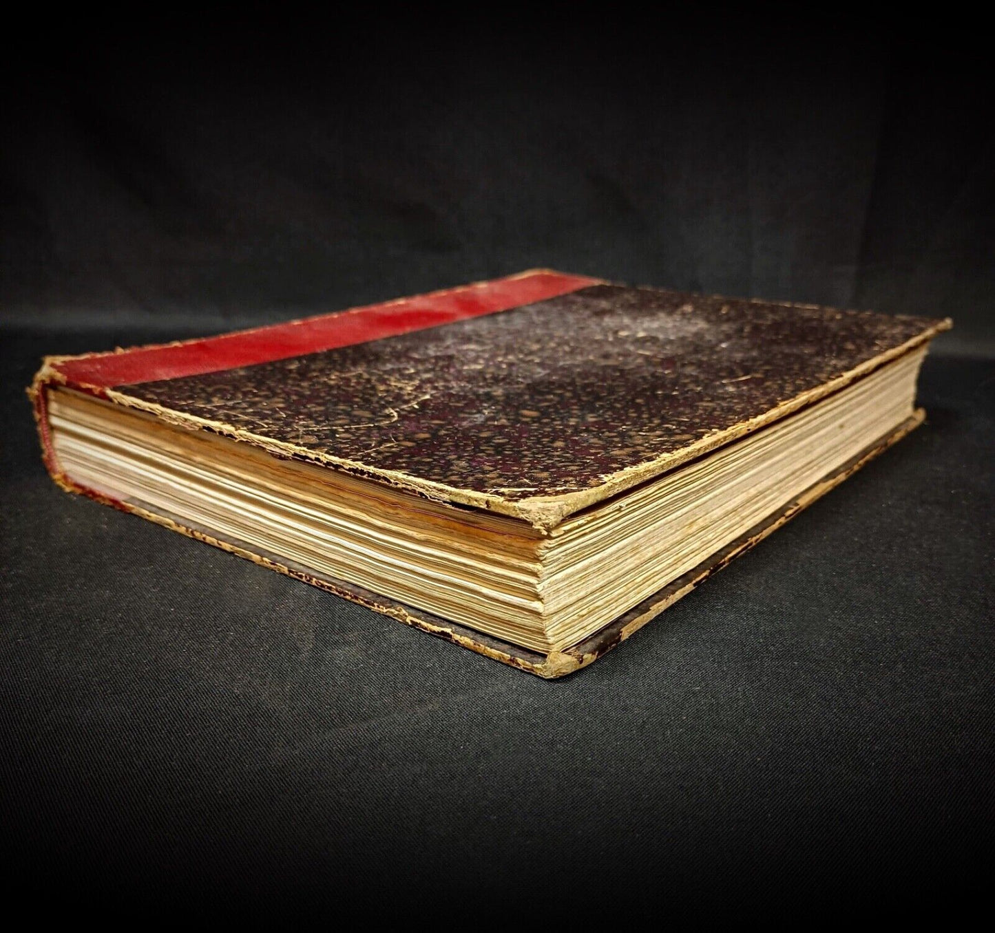 Vintage animal engravings from Charles J. Cornish