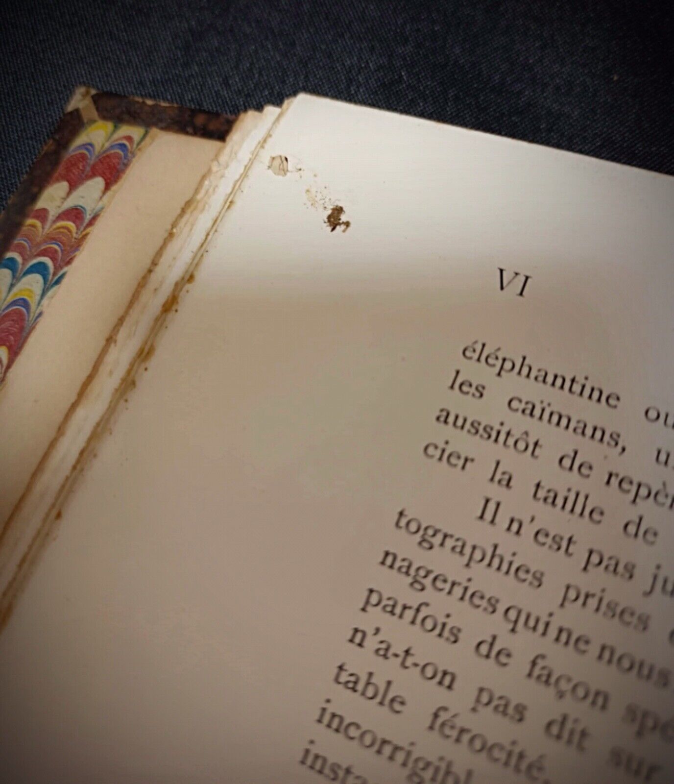 Large-format French book on mammals