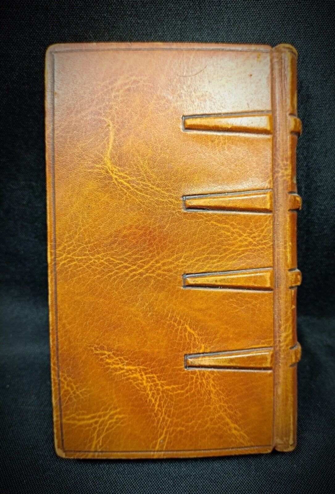 Back cover with gentle scuffing details