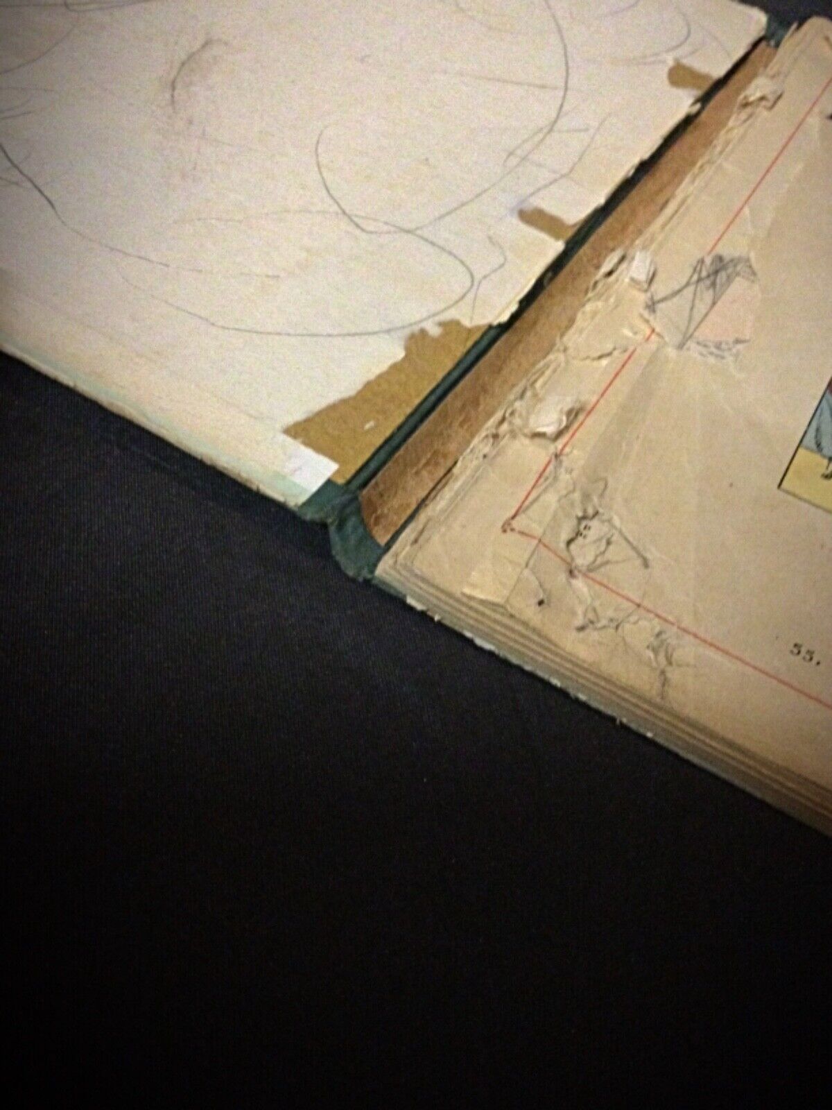 Dimensions of BĂ©cassine Nourrice hardcover book.