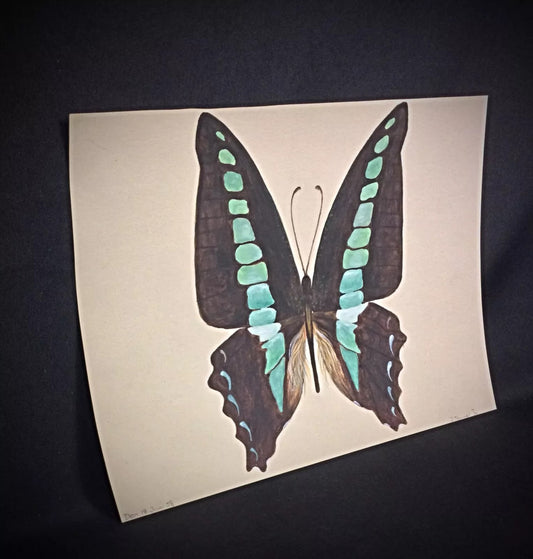 Original 1980s watercolor butterfly painting signed Rommel good condition