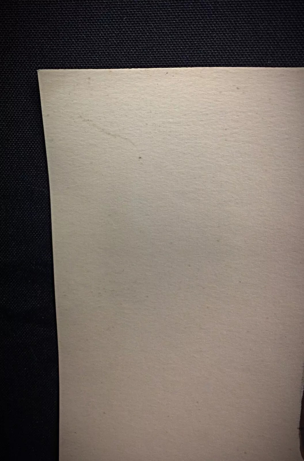 Original 1985 watercolor on paper by J. René Rommel depicting a butterfly in brown and blue tones