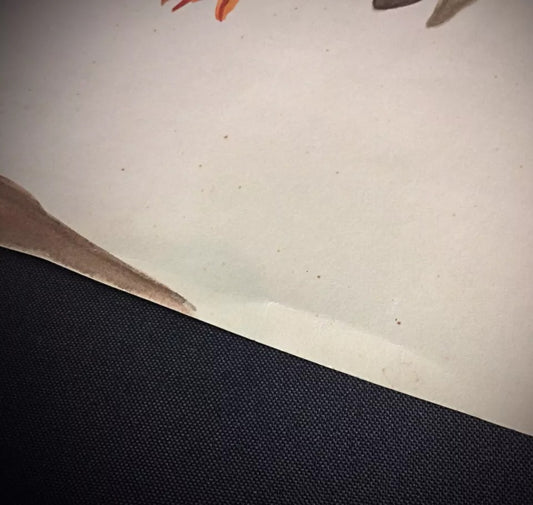 Mid-century nature painting depicting a detailed rooster in characteristic Rommel style on paper