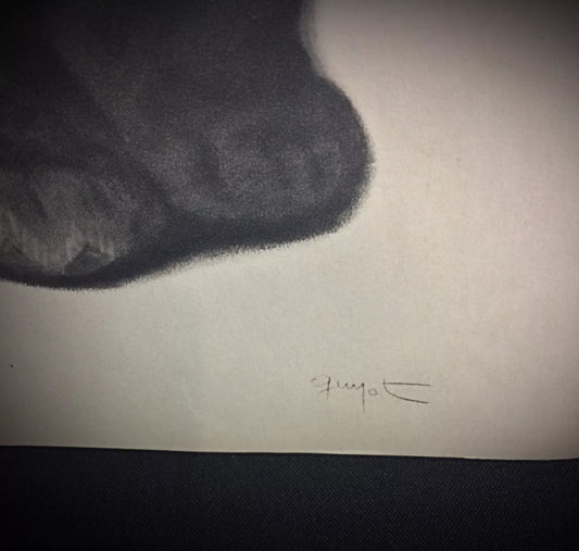 Close-up of George Lucien Guyot’s signature on the artwork
