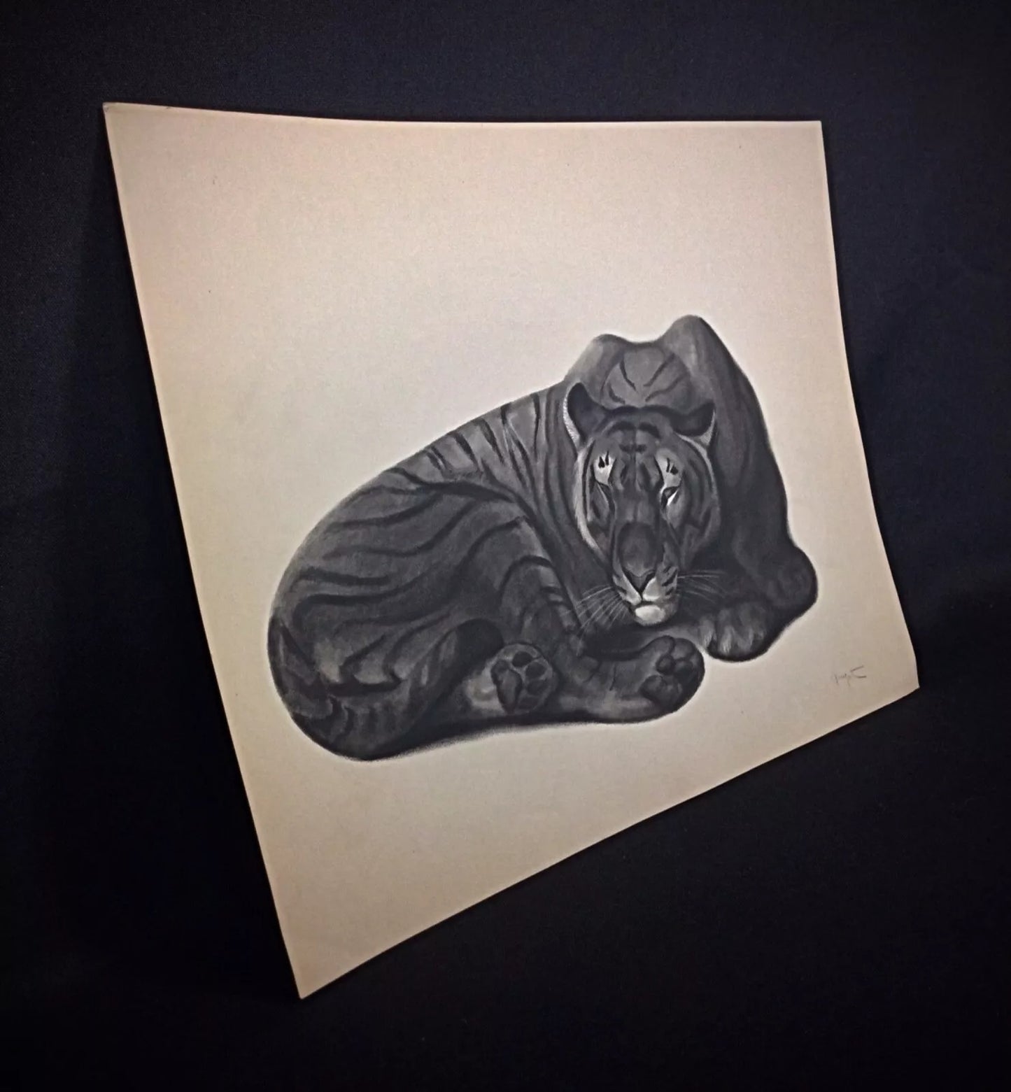 Majestic tiger depicted in fine engraving detail