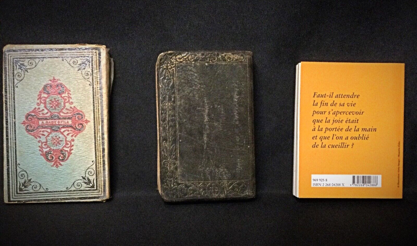 Image of a book lover or collector browsing through the vintage lot