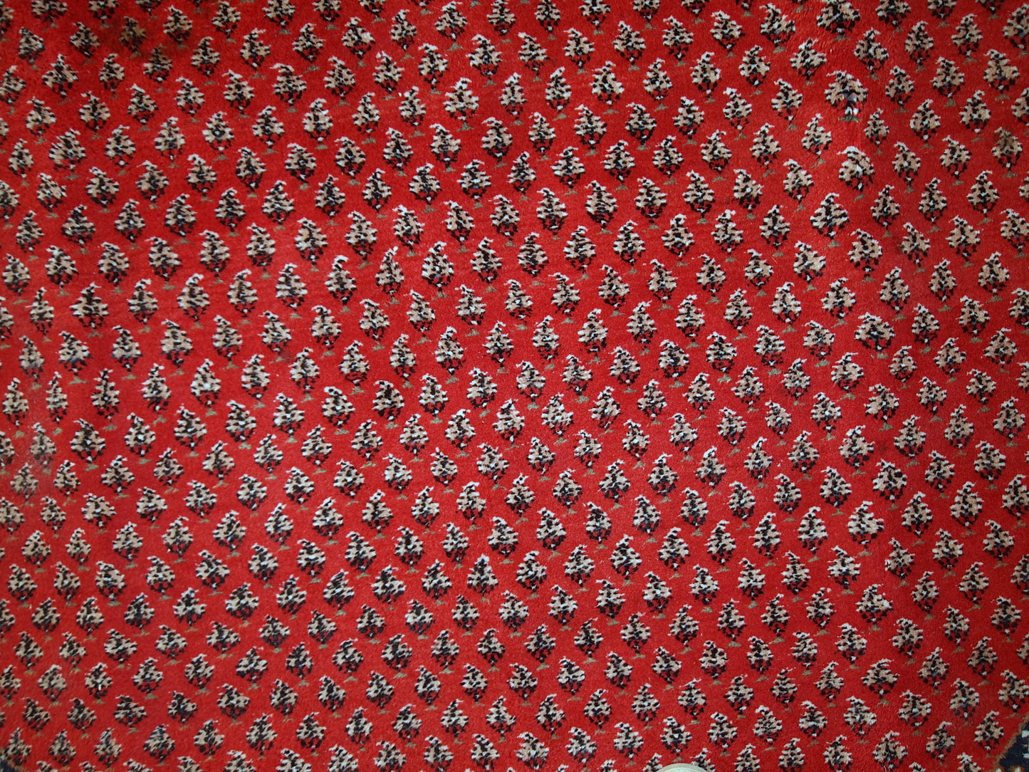 Vintage handmade Indian rug with Persian Seraband design in red with white border. All-over design with repeating pattern. The rug is from the end of 20th century in original good condition. 