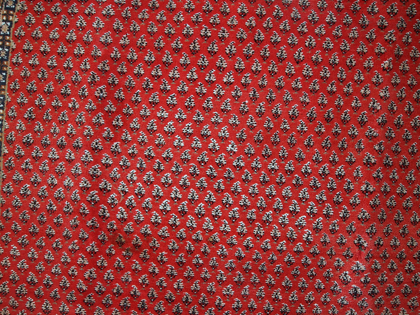 Vintage handmade Indian rug with Persian Seraband design in red with white border. All-over design with repeating pattern. The rug is from the end of 20th century in original good condition. 
