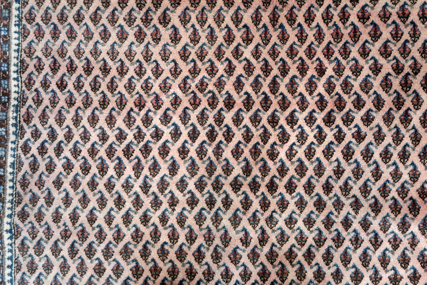 Handmade vintage Indian Seraband rug 1970s