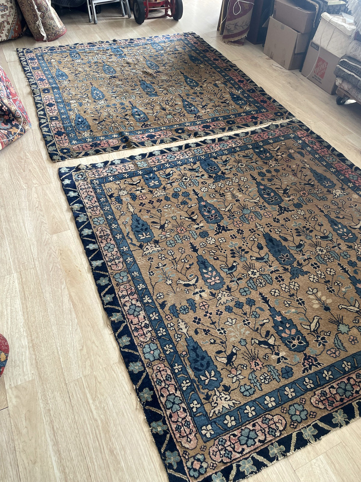 Collector-quality 1880s Indian rug from the Agra weaving tradition, depicting a Mughal paradise garden with cypress sentinels, flowering plants, and birds in flight (doves and cranes).

