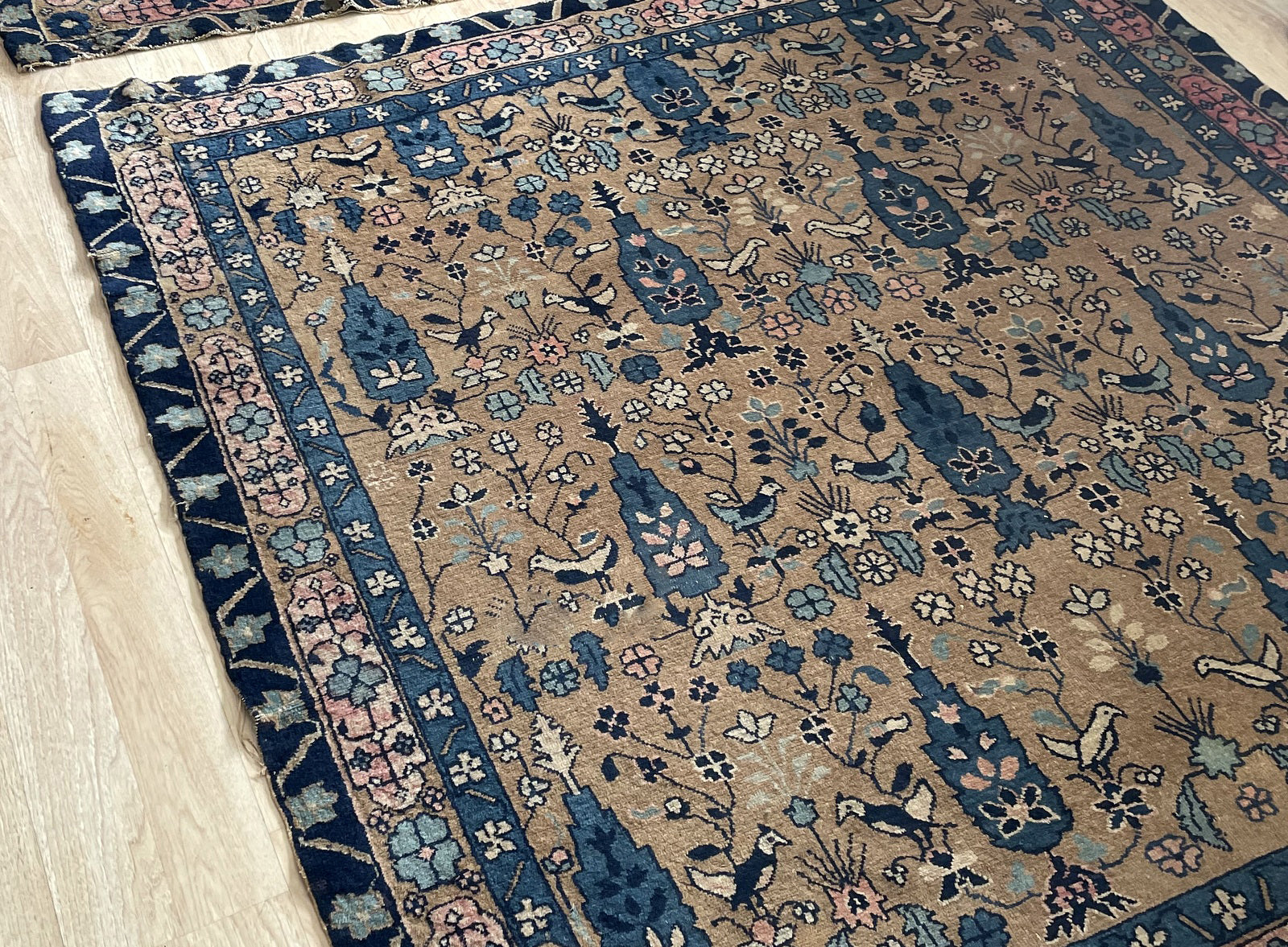 Full perspective of an antique Agra millefleurs rug displayed in a square format, ideal for a sitting room, beneath a round dining table, or as a textile art object.

