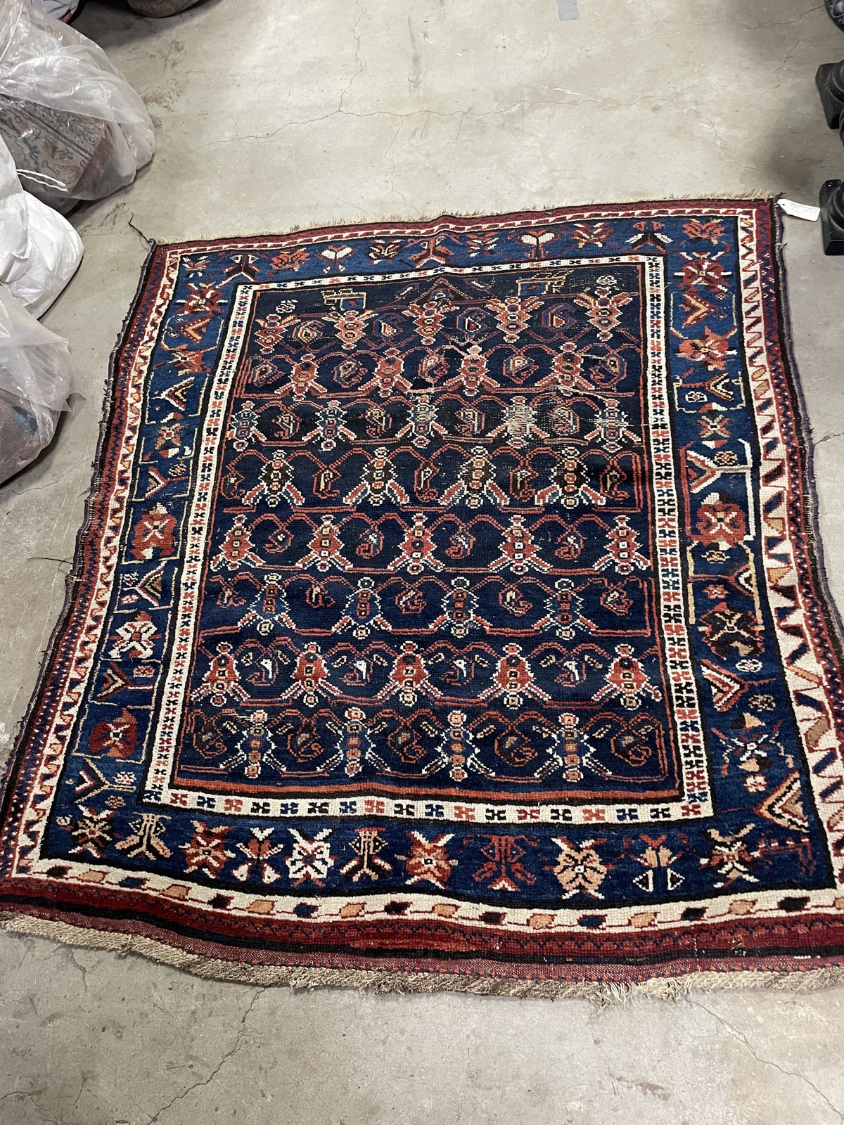 Detail of navy floral field and surrounding geometric border on rug 1B1020