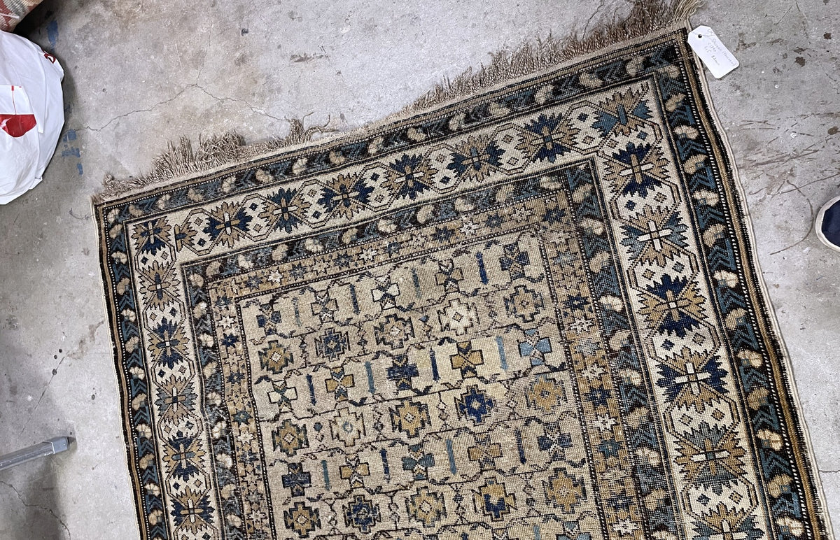 Starburst border and narrow patterned bands on ivory Shirvan rug