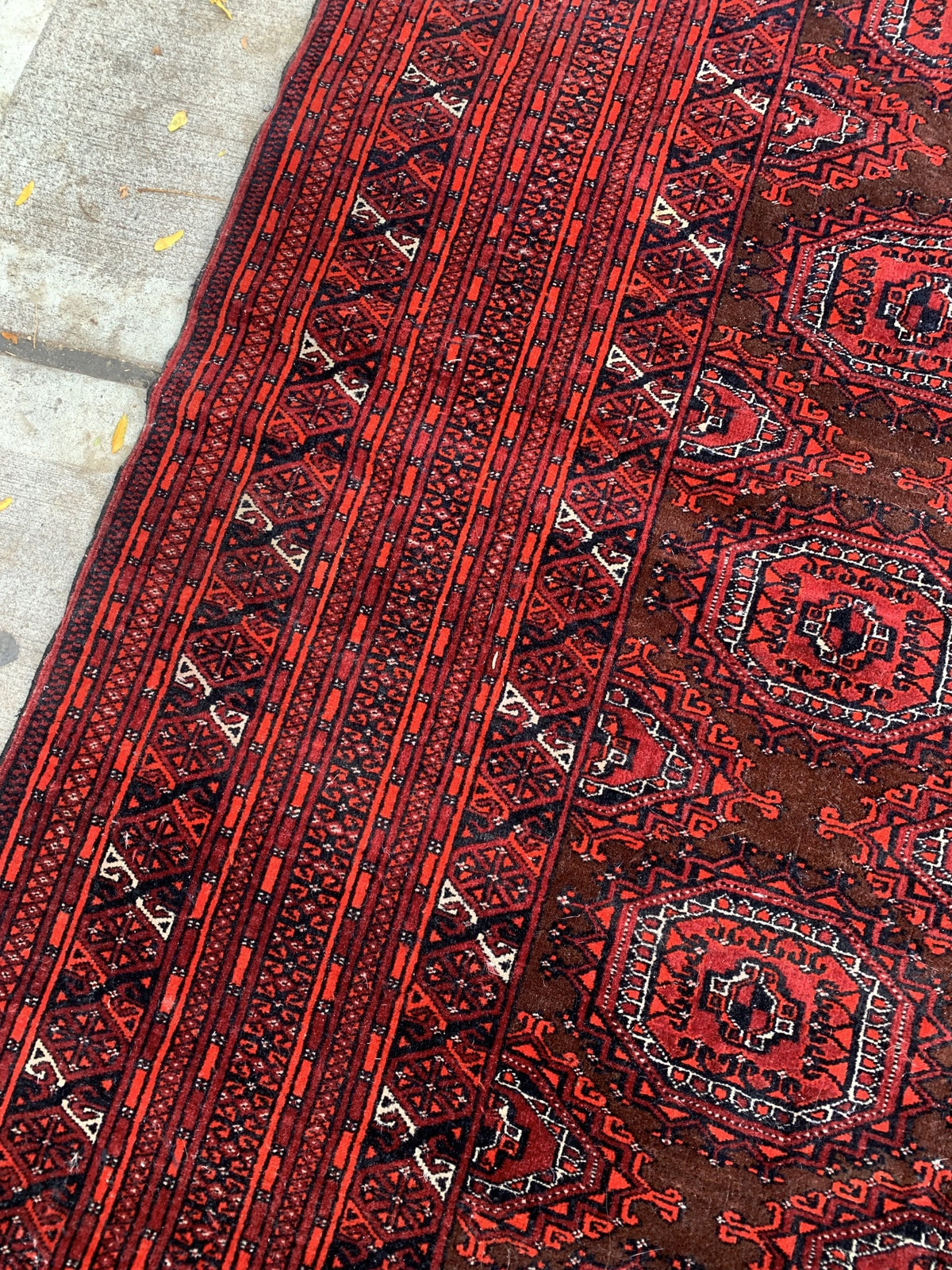 Intricate Bukhara Rug Pattern