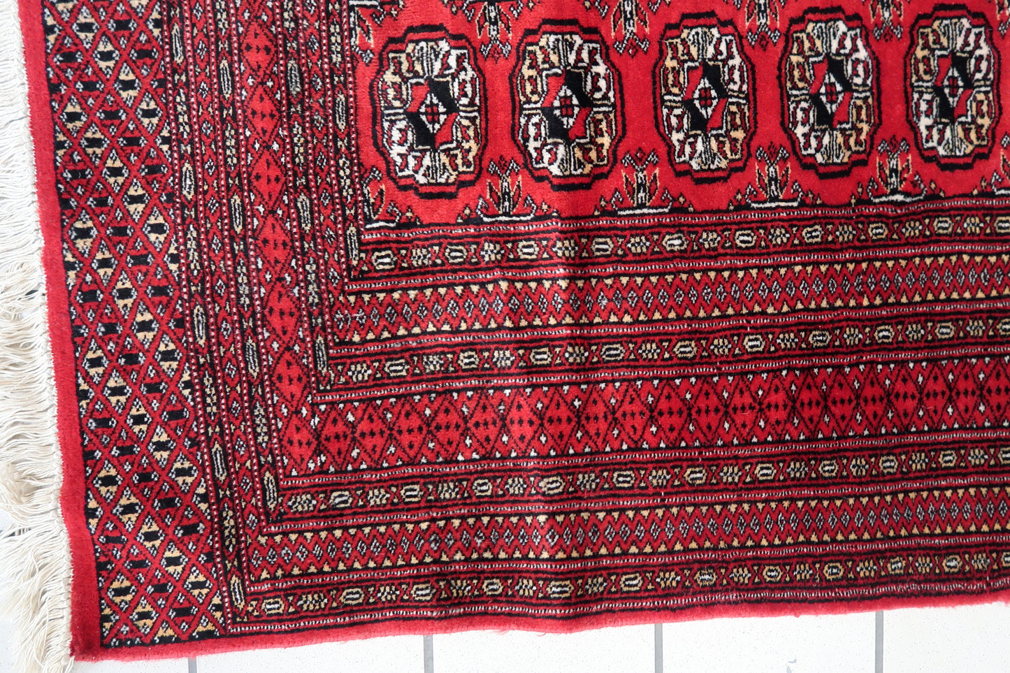 Close-up of Intricate Elephant Foot Design on Bukhara Rug