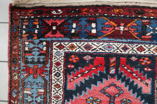 Intricate Hamadan Rug Pattern