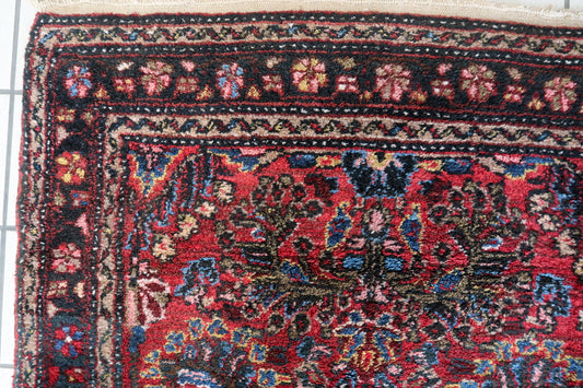 Intricate Sarouk Rug Pattern