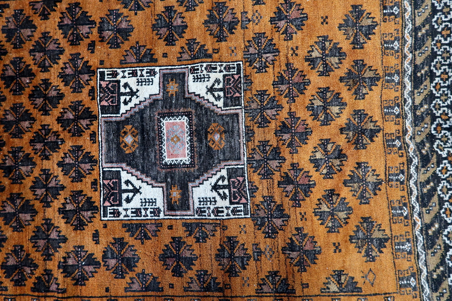 Overhead shot of the Afghan Baluch rug displaying its detailed center motifs