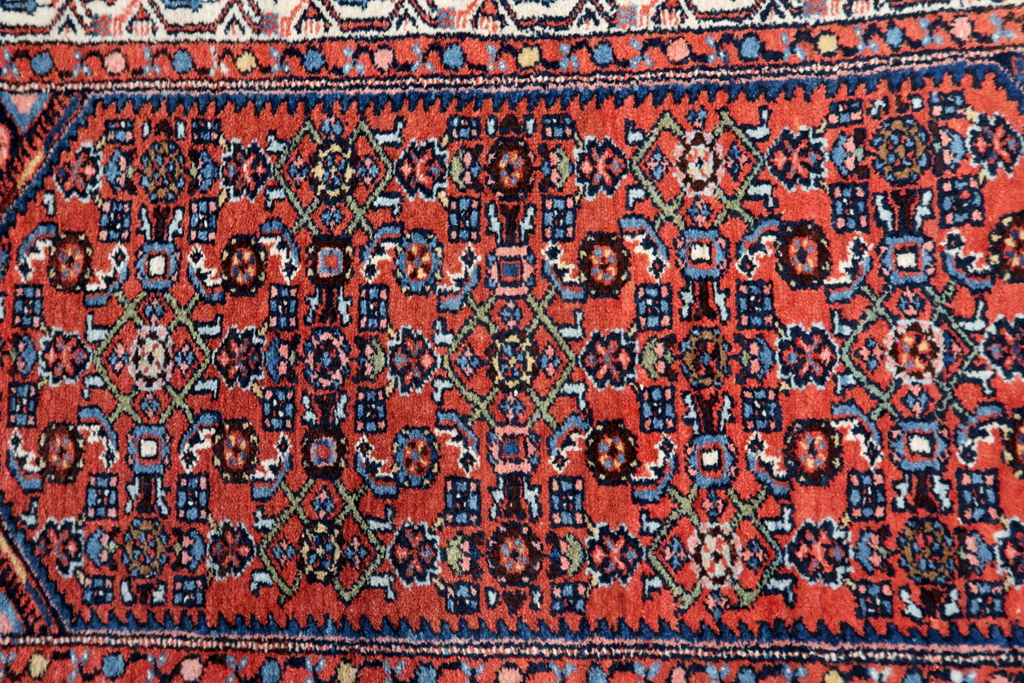 Close-up of the intricate motifs woven into the rug's design