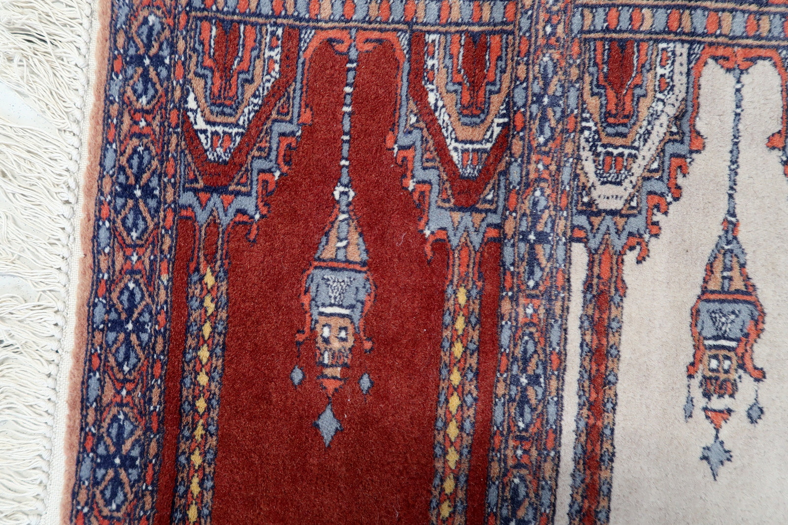 Close-up of the creamy white fringes, providing a delightful contrast to the vibrant colors