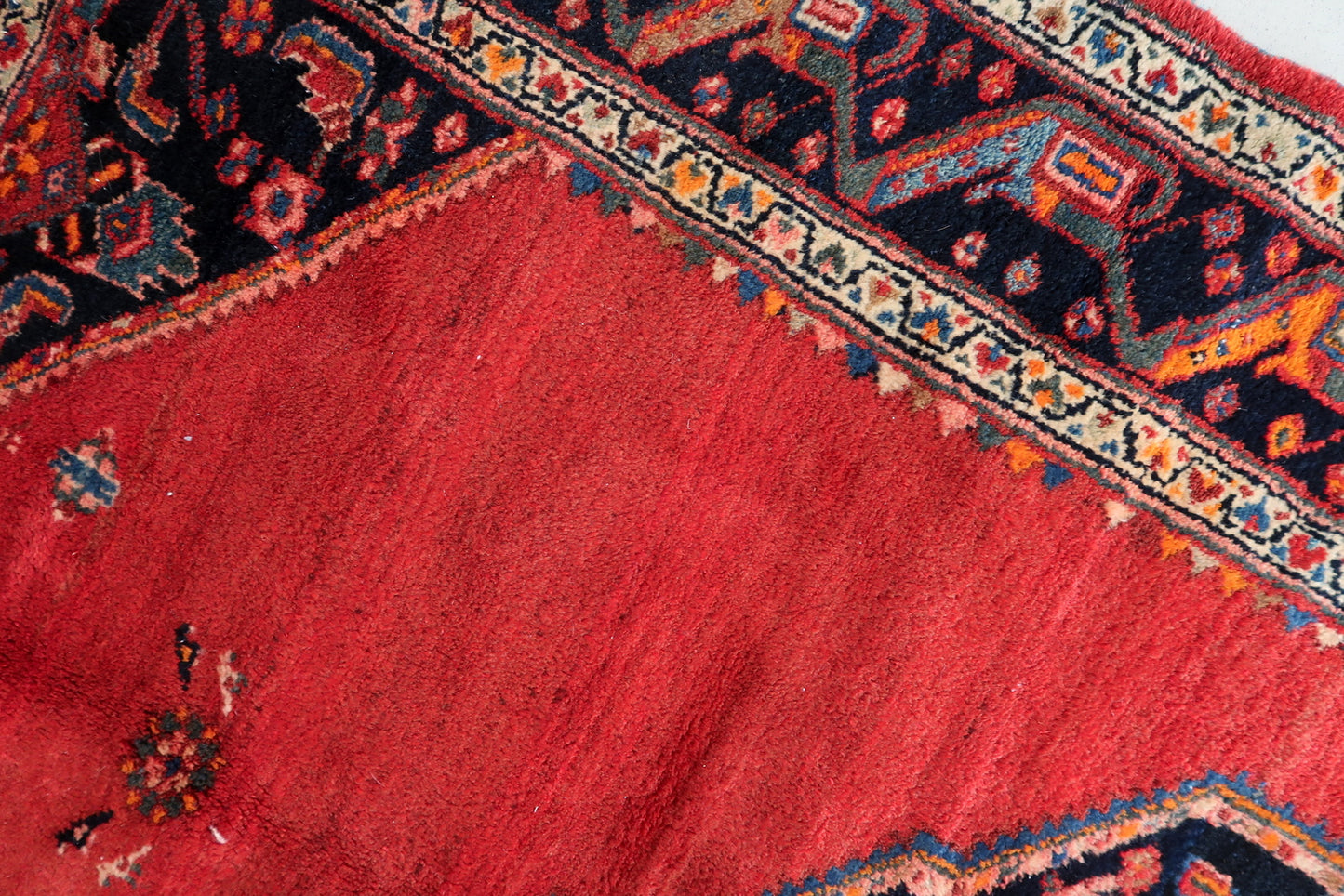 Full view of the rug showcasing the central medallion and wide border.


