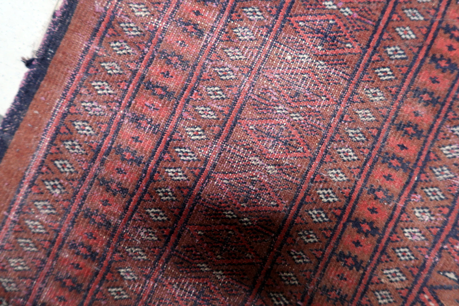 Corner of the rug showing the border and field connection.

