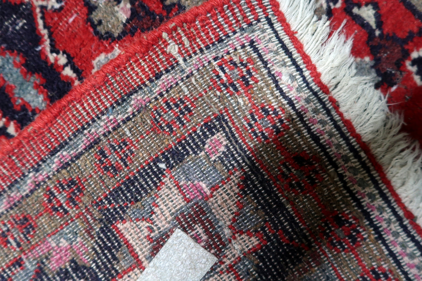 Complex border design with repeating botanical forms

