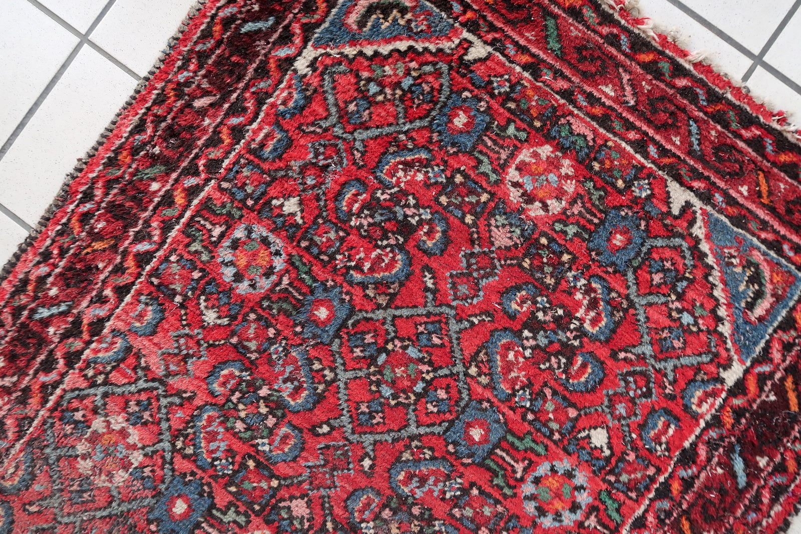 Detail of hand-knotted Persian Hamadan runner border and pattern
