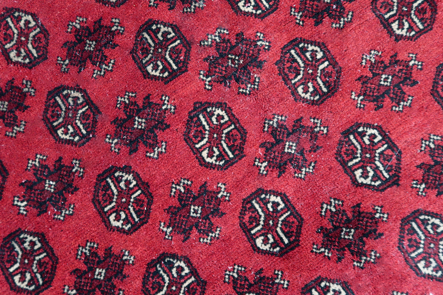 Antique Afghan Ersari Turkmen rug, hand-knotted wool, early 20th century.

