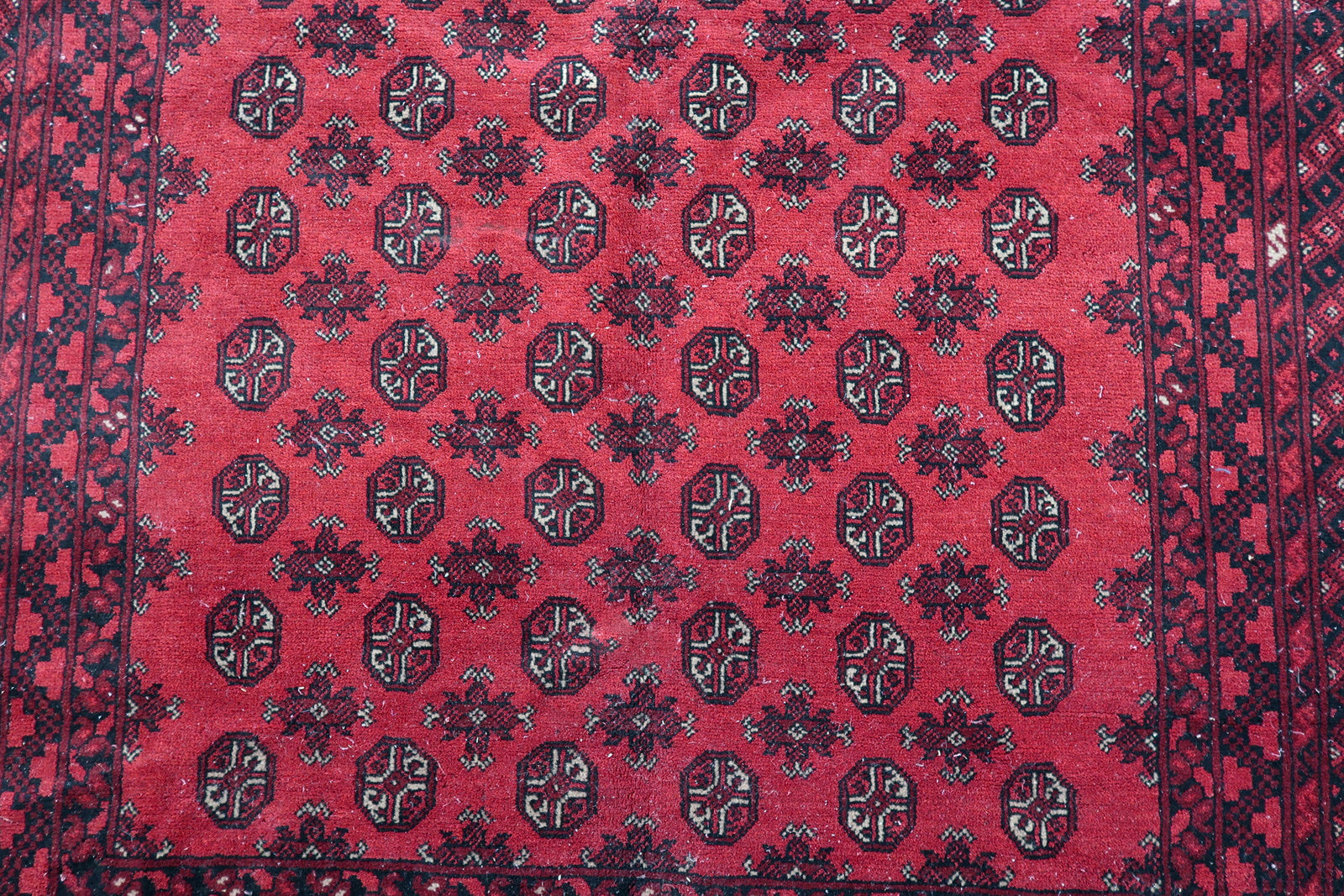 Close-up of an antique Afghan Ersari rug's iconic gul motif: octagonal medallions with quartered interiors in deep burgundy and black, outlined in cream.


