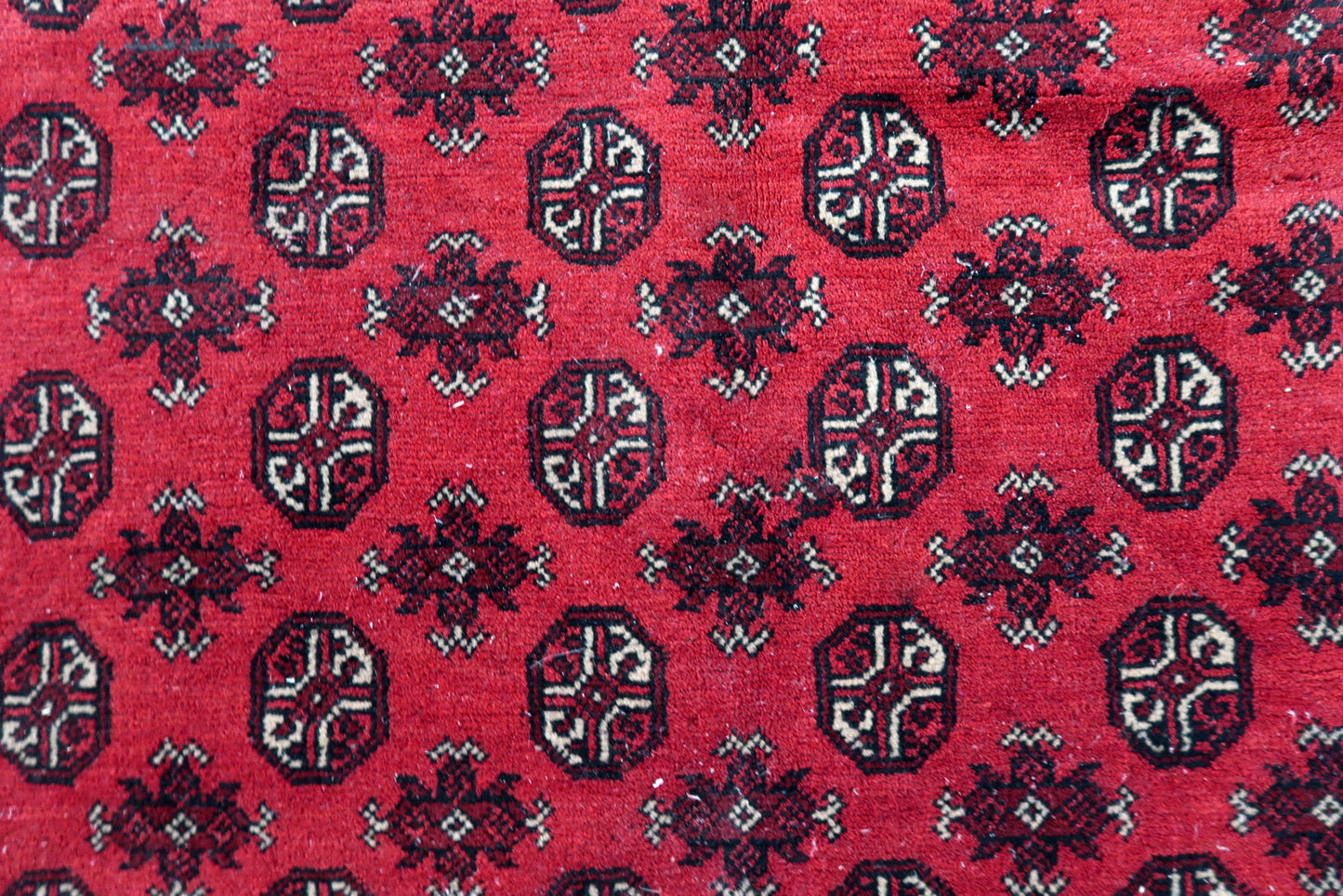 Vibrant color palette of an antique Afghan rug: coral-red ground with subtle tonal variations, deep burgundy guls, and cream accents.

