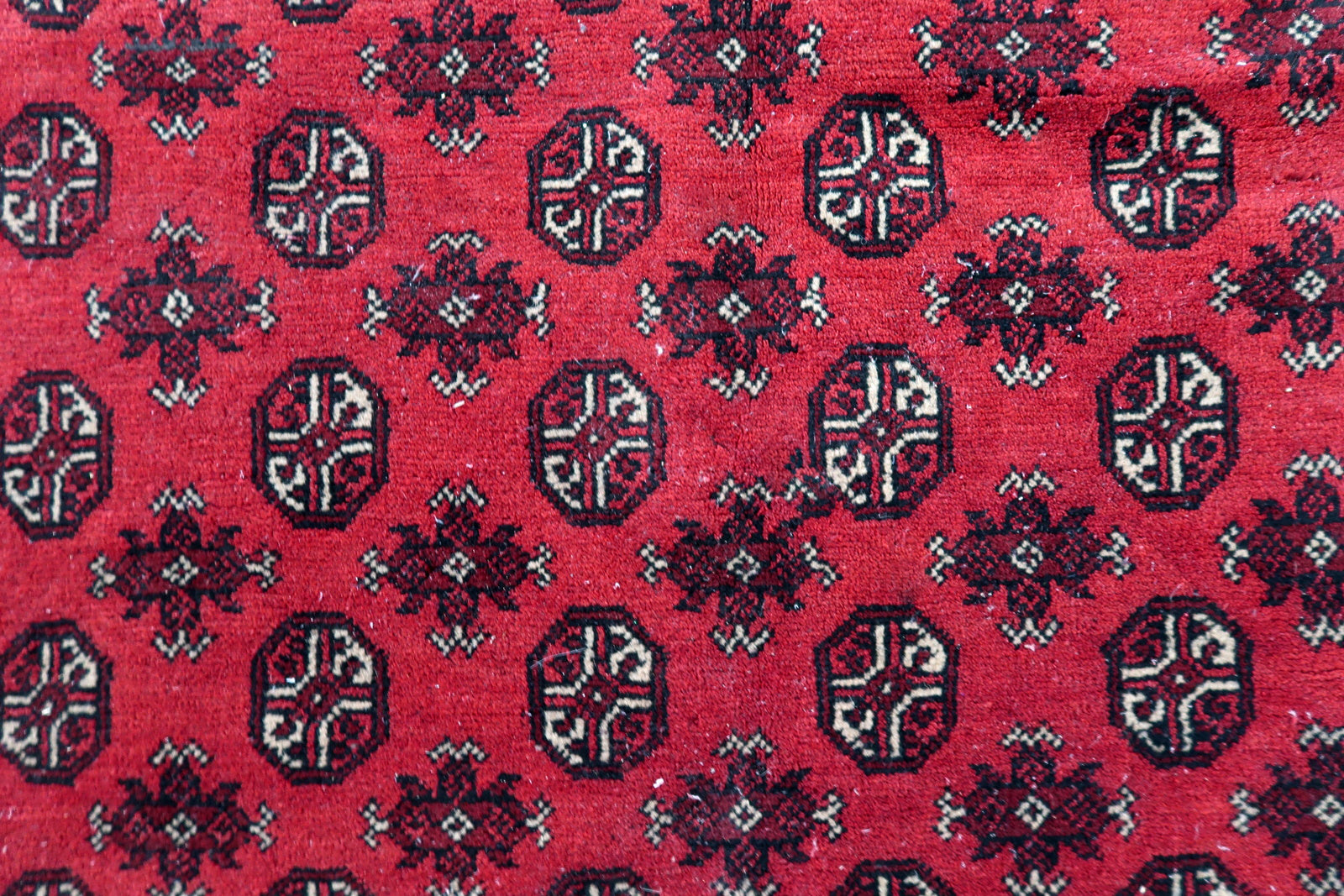 Vibrant color palette of an antique Afghan rug: coral-red ground with subtle tonal variations, deep burgundy guls, and cream accents.

