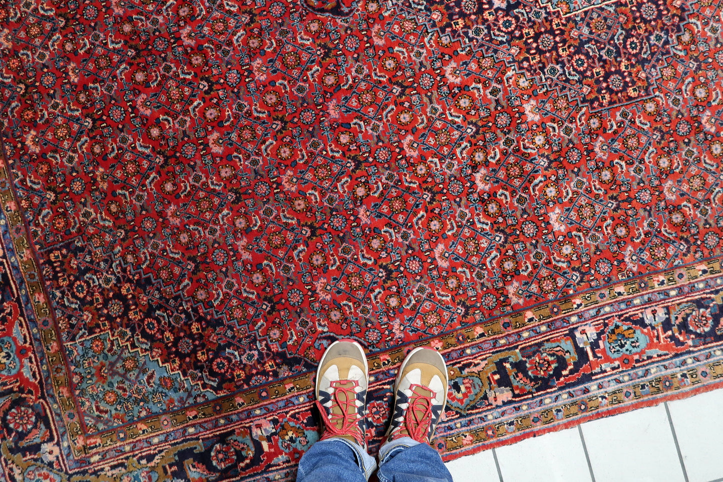 Antique Persian Bidjar rug, 1920s, hand-knotted wool, central medallion design.

