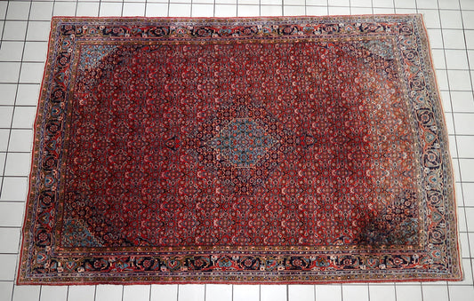 Early 20th century Bidjar rug, known for legendary durability, with a striking sky blue and ivory medallion on a madder-red field.

