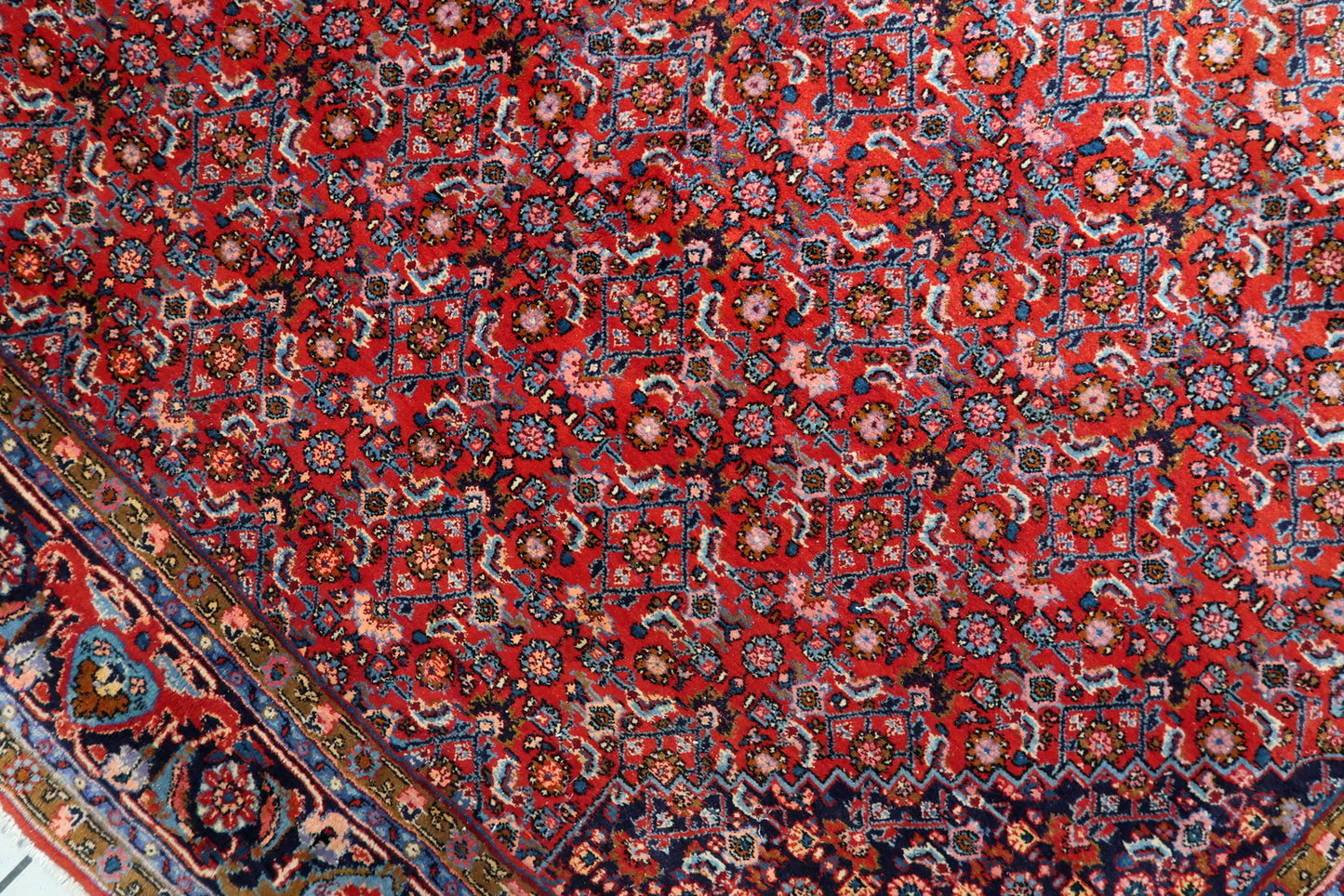 Large antique room-size rug from Bidjar, Northwest Persia, measuring 225 x 333 cm, with a complex multi-layered border.

